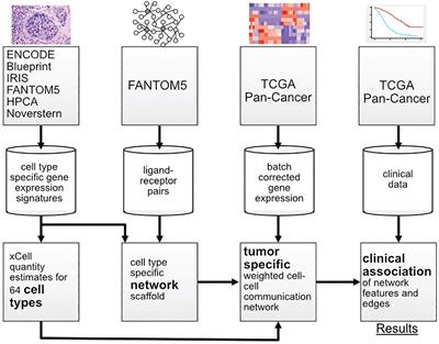 Patient-Specific Cell Communication Networks Associate With Disease Progression in Cancer